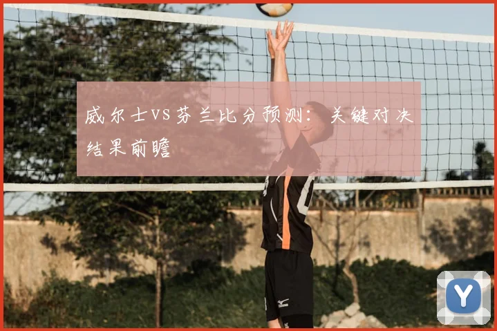 威尔士vs芬兰比分预测：关键对决结果前瞻