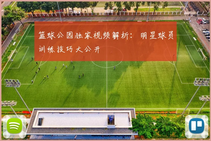 篮球公园独家视频解析：明星球员训练技巧大公开