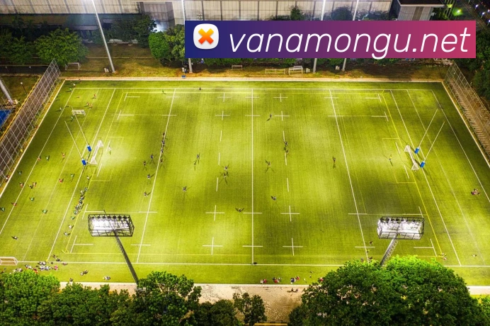 bat365最新版下载地址平台生态图